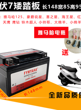全新原装12v通用YTX7A-BS海王星鬼火女士雅马哈踏板摩托车干电瓶