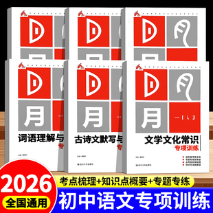 全套6册初中语文专项练习训练文学文化常识词语理解与运用古诗文默写与赏析名著阅读语句衔接与排序字音字形与书写文言文现代文