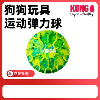 KONG狗狗玩具球Flexball Sport Ball运动弹力球互动寻回可浮水球