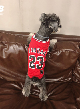 宠物狗狗乔dan篮球背心红色雪纳瑞衣服夏装薄款泰迪法斗篮球衣