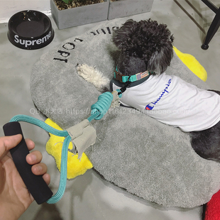 QB小犬店touchdog项圈颈圈牵引绳攀岩圆绳套装宠物狗绳狗链子