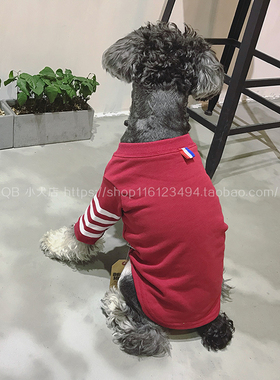 睡不醒的雪纳瑞泰迪纯棉卫衣秋冬衣服条纹袖子红色猫咪衣服包邮