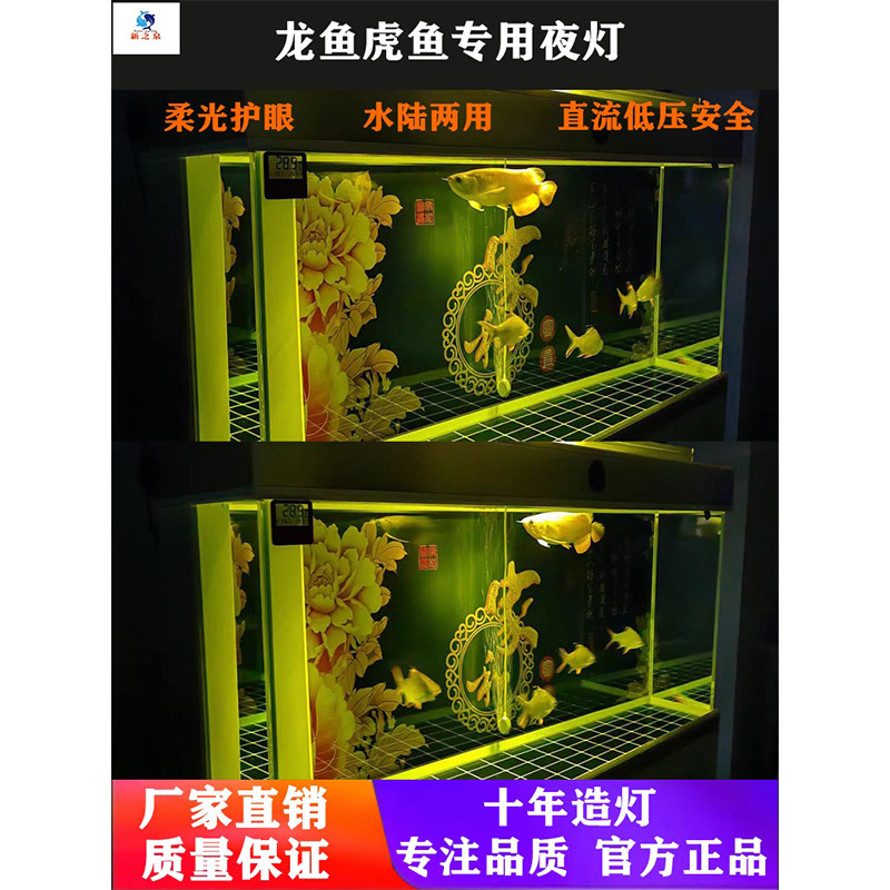 新之泉龙鱼虎鱼专用小夜灯护眼