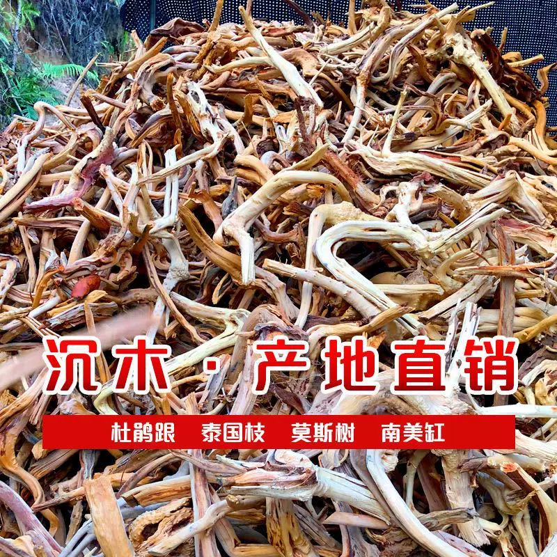 2024新款高品质造景装饰树根杜鹃跟小栖根枝杈树形沉木素材