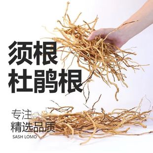 杜鹃根枝条水草沉木须根细枝南美缸树枝微景观造景藤条龙须根