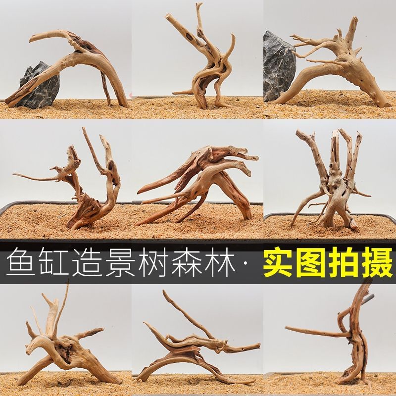 鱼缸造景杜鹃根沉木造景树根栖根泰国枝蛇攀爬树枝树蛙攀爬木内饰