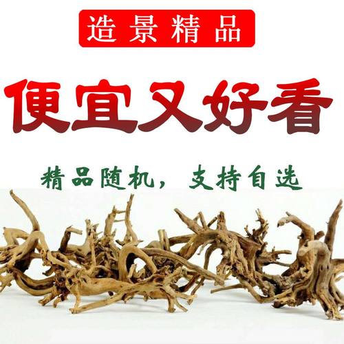 鱼缸水草缸造景妖精森林
