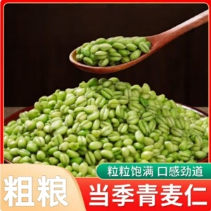 山东新鲜青麦仁农家自产嫩麦籽青麦子粗粮可煮粥煲汤拌沙拉炒菜