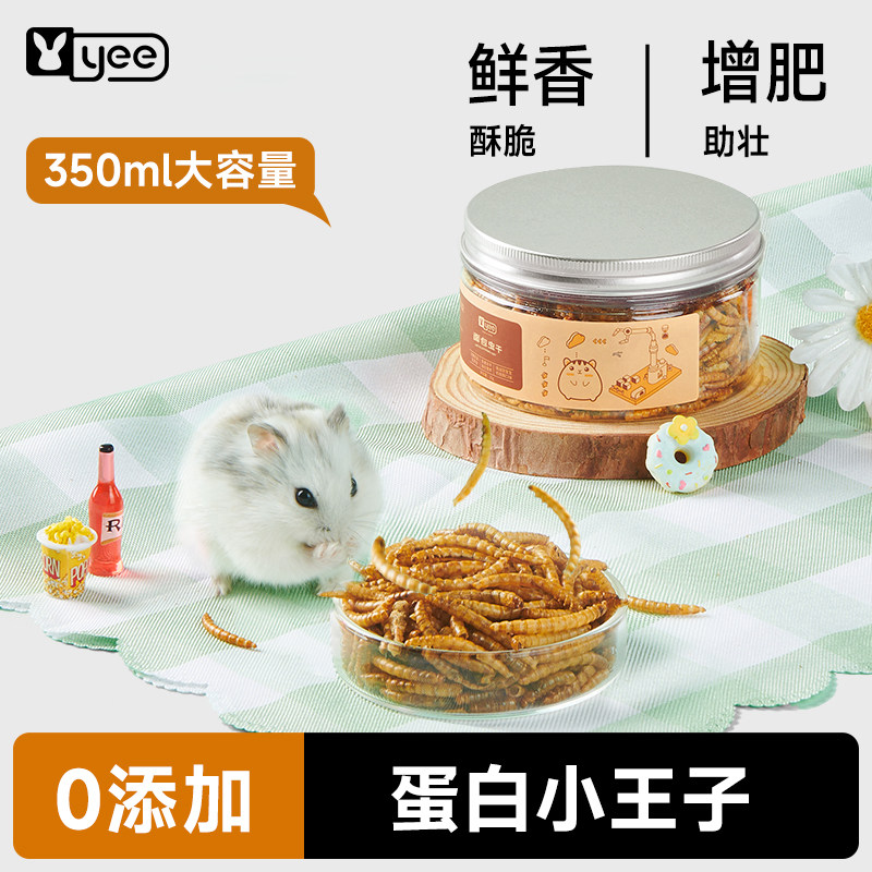 面包虫干仓鼠营养零食黄粉虫鹦鹉鸟小乌龟粮食金丝熊刺猬用品饲料,宠物/宠物食品及用品,鼠粮,淘宝优惠券,粉丝福利购,淘宝优惠卷
