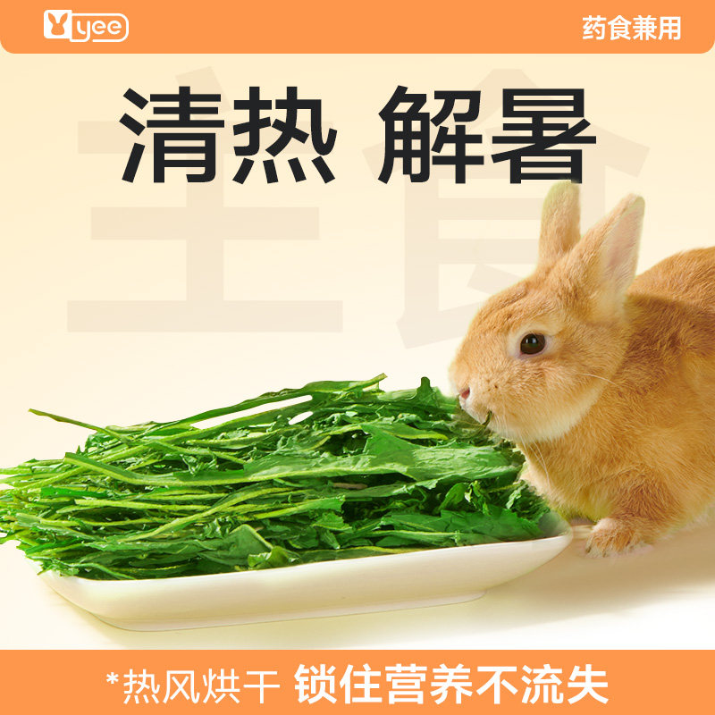 yee蒲公英干草菊苣兔子粮草烘干豚鼠龙猫荷兰猪零食用牧草饲料