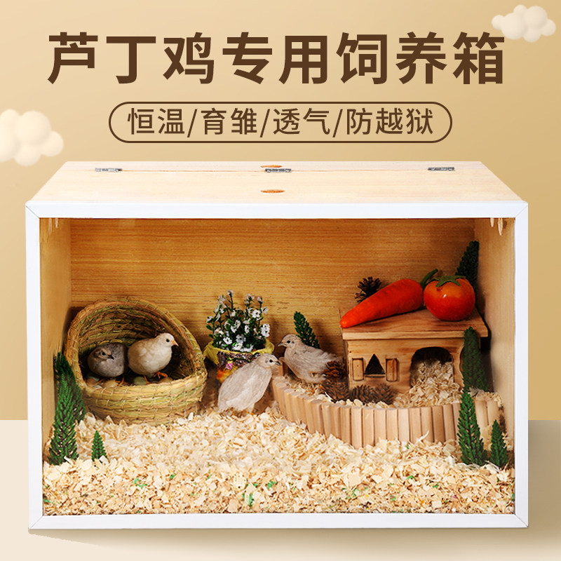 yee芦丁鸡宠物专用恒温饲养箱