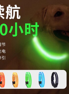 狗狗发光项圈led夜间遛狗牵引绳背带泰迪金毛小大型犬防丢失宠物
