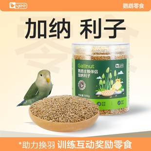 yee新鲜加纳利子草籽鹦鹉鸟食无壳鸟粮金丝雀草籽白尖粟换羽期