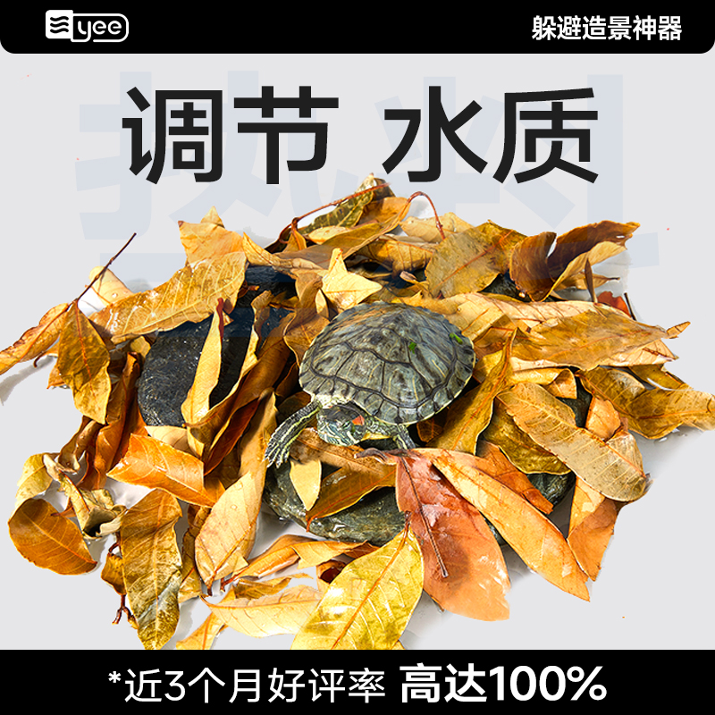 yee龙眼叶懒人叶净水调节PH