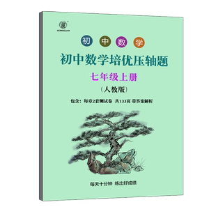 初中数学每日一道数学压轴题培优压轴题中考数学压轴题初中数学七年级数学九年级压轴题中考数学8年级数学练