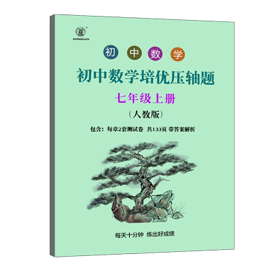 初中数学培优压轴题同步训练