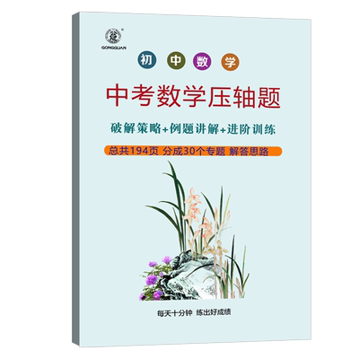 中考数学压轴题初中数学知识点