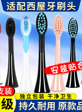 适用美国西屋电动牙刷头WT-301B/301/503B 501W/505/401替换头601