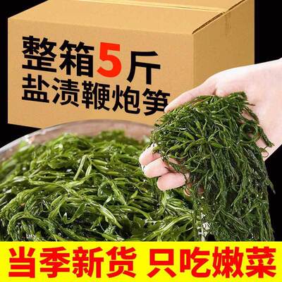 鲜嫩鞭炮笋盐渍霞浦特产