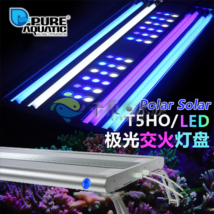 p牌t5holed交火灯盘鱼缸海水缸