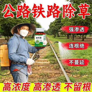 药 铁路专用除草烂根剂公路荒地一扫光三年不长草烂根剂寸草不生