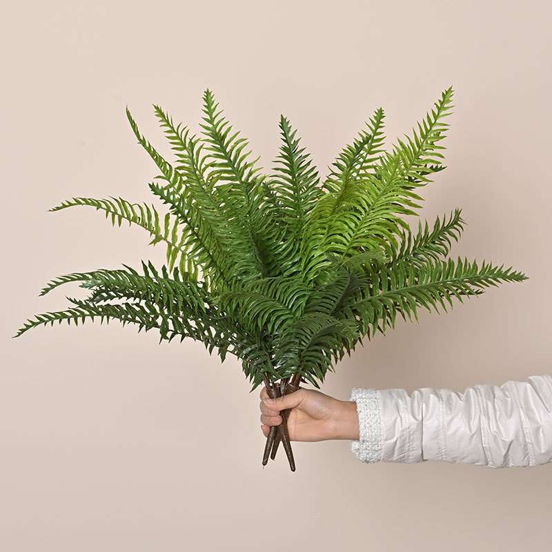 仿真蕨草手感软胶大蕨叶把束波斯蕨肾蕨植物墙绿植装饰假家居装饰