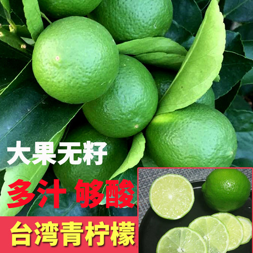 一级精品台湾无籽四季香味青柠檬