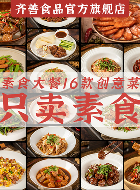 齐善素食全家福食品大全佛家纯素肉零食年货送礼盒礼包官方旗舰店