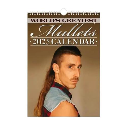 2025 Calendar Mullets Hair Stylist Journal Mullets Calendar