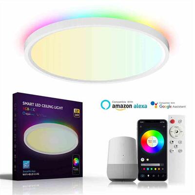 Bedroom Ceiling Light Decor Led Light 24W 90-240V RGB T Surp