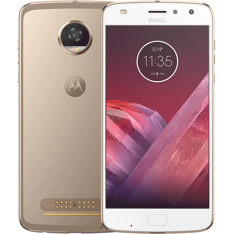 MOTOROLA