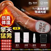 Большинство вариантов ⭐【Средний】толщина 3,6-длина 20,5 см + подарочная сумка богини + сумка для хранения