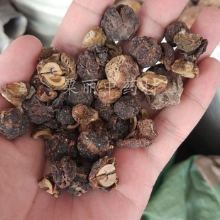 油柑子 滇橄榄茶 余甘子 油甘子500克包邮 油柑子干 余柑