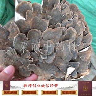 云芝 中药材野生云芝 野生云芝蘑 野生云芝菌 灵芝500克正品包邮