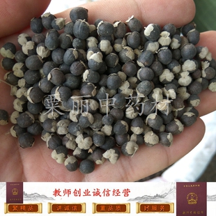 万京子 中药材蔓荆子 蔓荆实 荆子 蔓青子 万荆子 可做枕头 500克