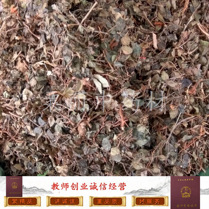 绣花针 500克包邮 虎刺 伏牛花  鸟不宿寿星草 刺龙牙虎阳刺 干品