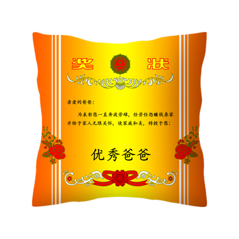 个性奖状证书创意可定制抱枕