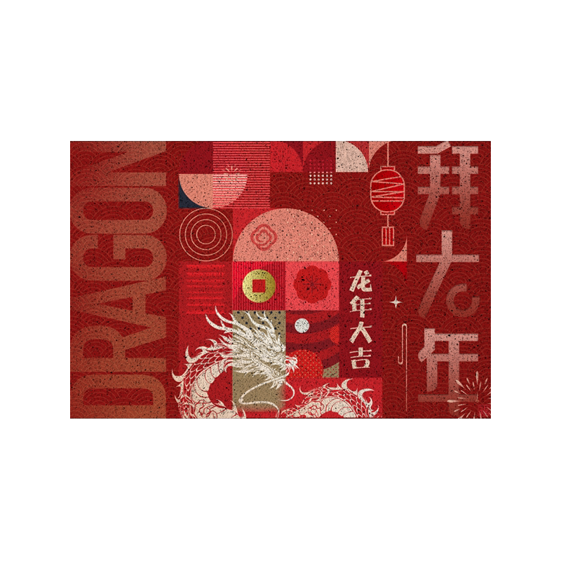 龙年2024拜大年开门红丝圈地垫