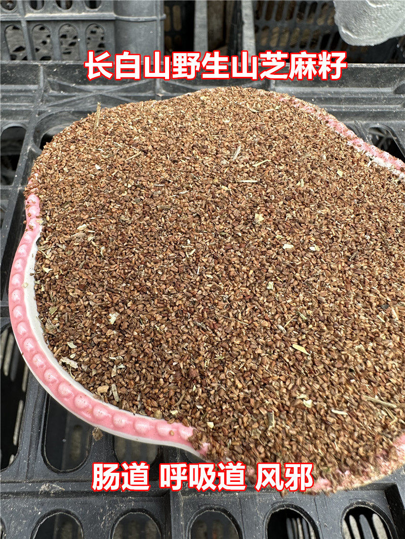 长白山野生山芝麻籽干货 月见草子中药材500克产地发货包邮