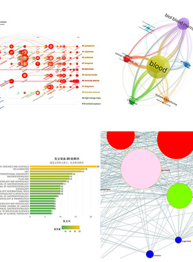 (全套)文献计量分析聚类Bibliometrix、CiteSpace、VOSviewer