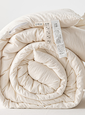 超柔日系全棉大豆纤维被子加厚棉被保暖被芯春秋被单双人学生冬被