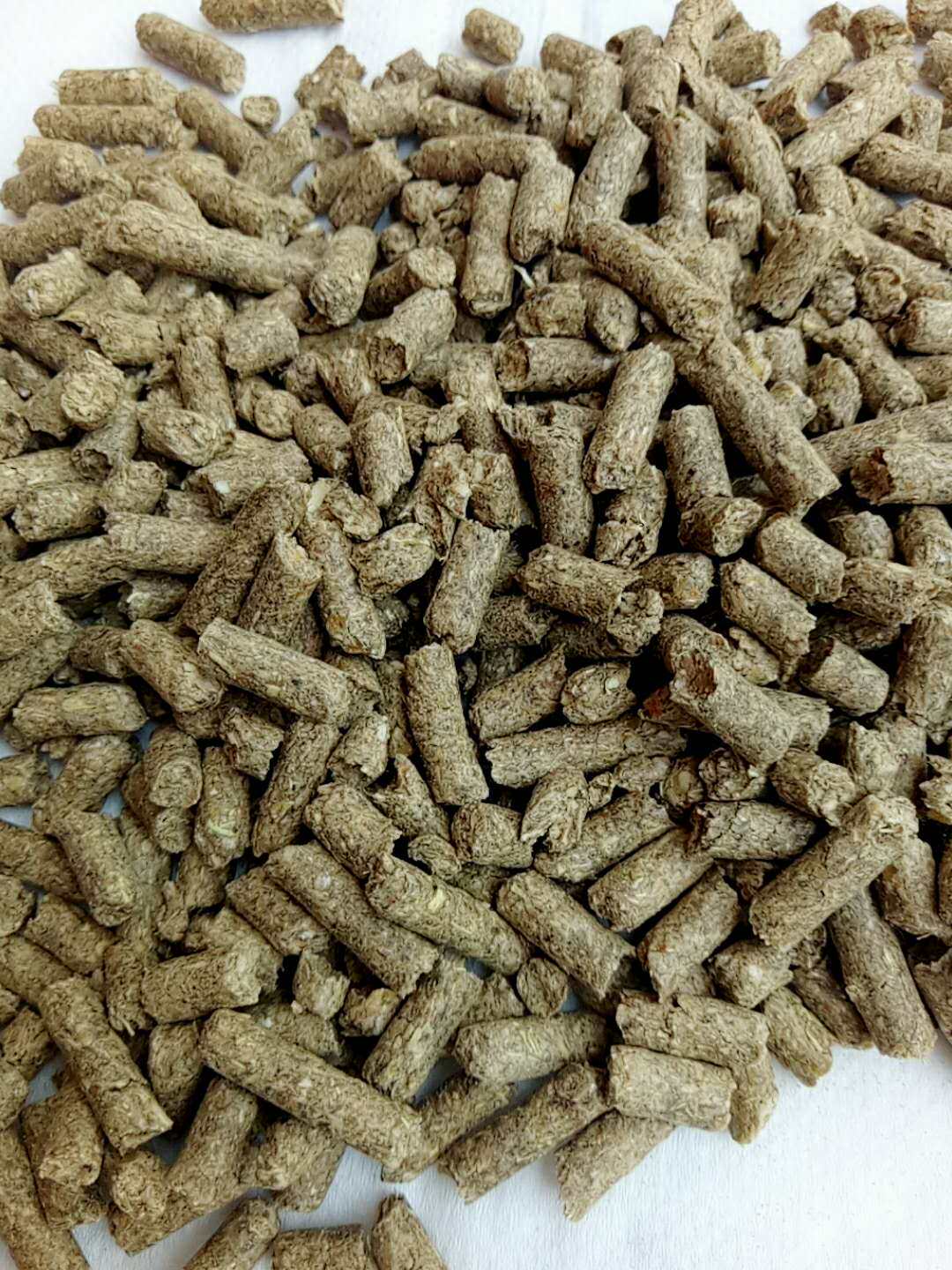 朱迪之家幼成兔垂耳侏儒猫猫兔主粮饲料散装粮食食物10斤5kg装