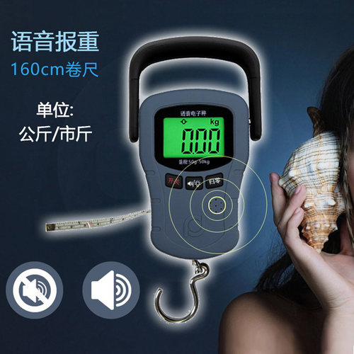 福日电子快递物流钓鱼吊钩手提秤