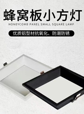 蜂窝大板集成吊顶LED灯19x19方灯20x20方灯30x30卡扣灯开孔嵌入式