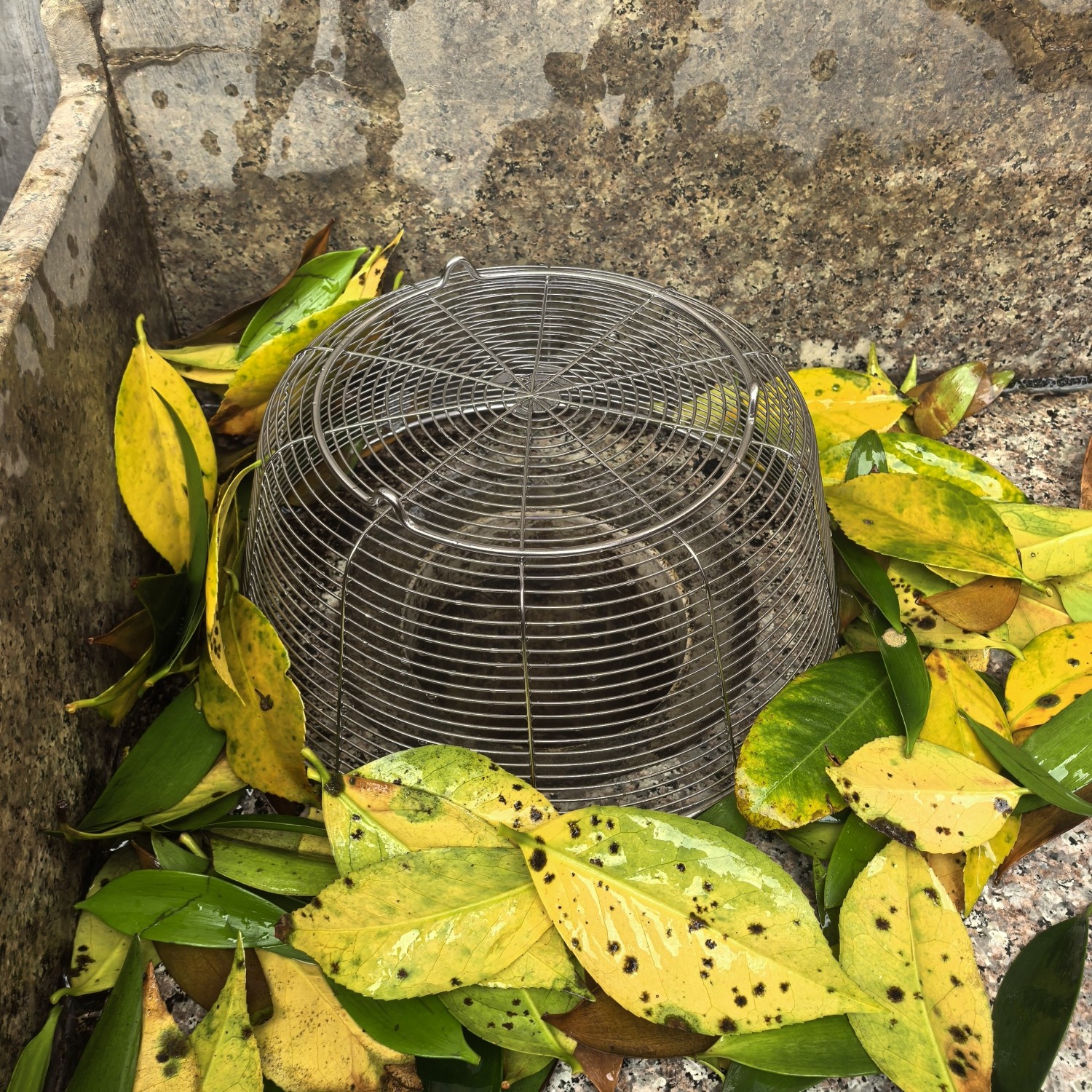 圆形不锈钢地漏过滤网防虫防头发下水道过滤网配件方形网罩防树叶
