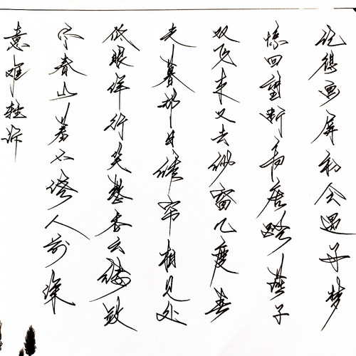 钢笔草书硬笔临摹成人练字帖