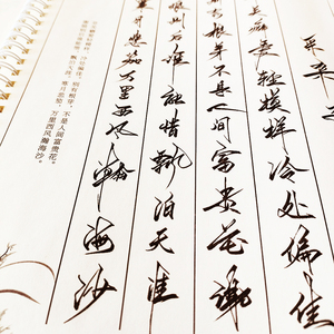 名人诗词钢笔临摹练字帖