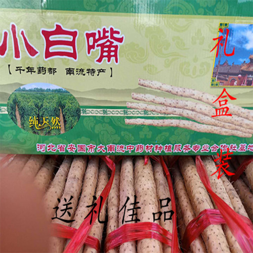 山药安国小白嘴山药特产