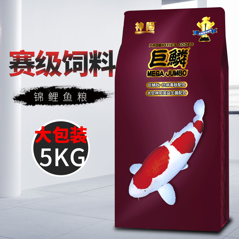 颗粒观赏鱼神阳巨鳞鱼食消化好