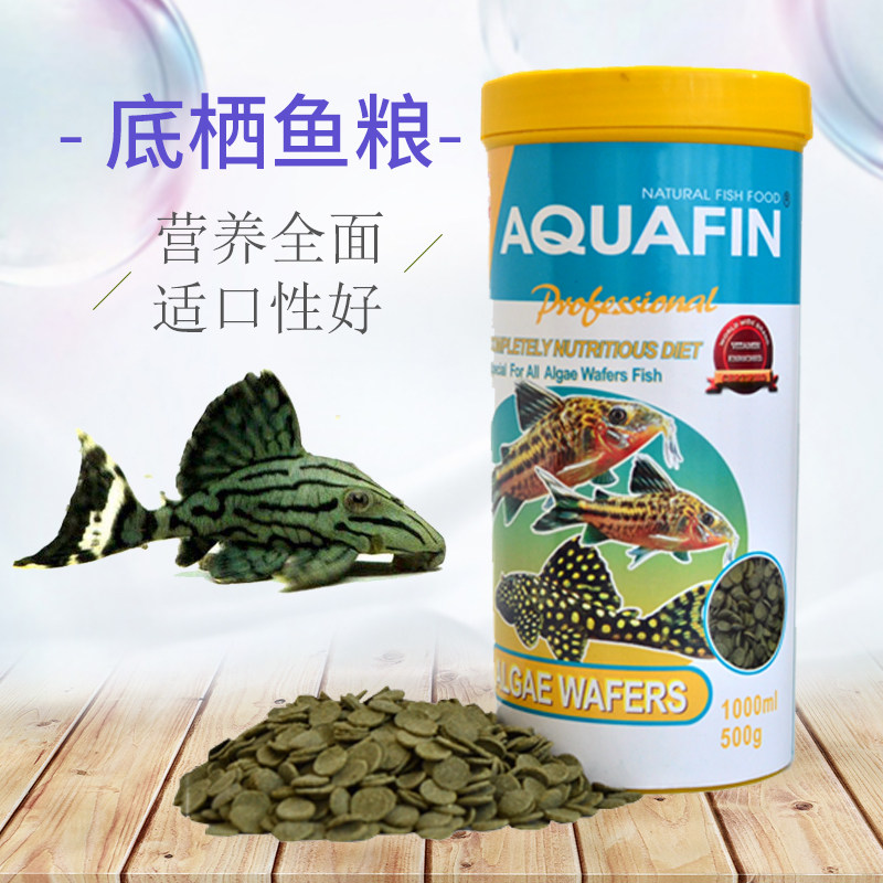建荣底栖鱼粮鱼食异形鼠鱼饲料下沉异型鱼熊猫鱼清道夫鱼食颗粒型